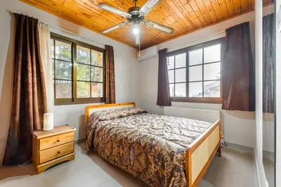 a bedroom with a bed and two windows at Pinecone Platres - 3 Units in Platres