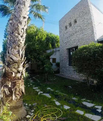 a palm tree in a yard next to a building at The Stone Villa in Pissouri