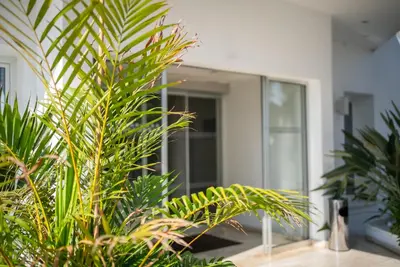 a group of plants in front of a building at Liquid Hotel Apartments in Ayia Napa
