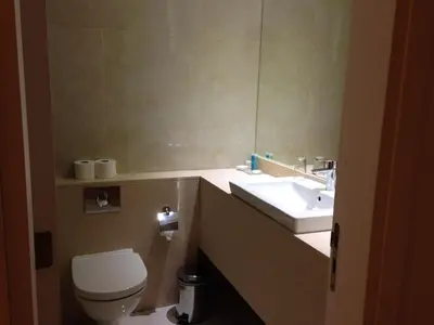 a bathroom with a toilet and a sink at Crystal Hotel in Kakopetria
