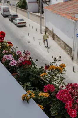 a bunch of flowers in a flower box on a street at Hotel Opera in Larnaka