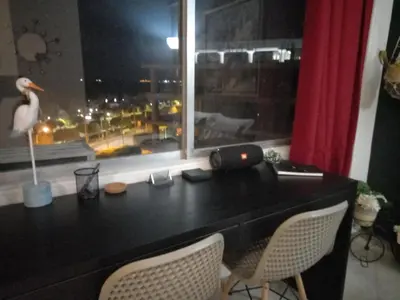 a desk with two chairs and a window with a bird on it at Artemis Boutique Apartment 2 in Limassol