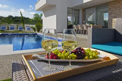 a table with two glasses of wine and a plate of grapes at Villa Harmonia in Protaras