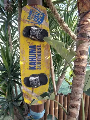 a yellow skateboard stuck in a tree at MERSINERA PARADISE GARDEN STARS HOUSE in Larnaka
