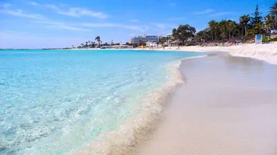 a beach with blue water and palm trees and buildings at Ayia Napa Boutique Apartments in Ayia Napa