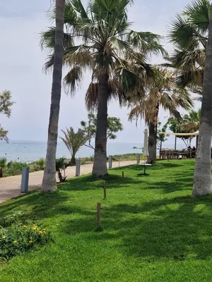 a park with palm trees on the beach at PERNERA 33 Beach House in Protaras