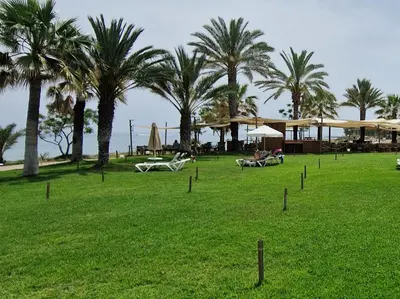 a park with palm trees and chairs in the grass at PERNERA 33 Beach House in Protaras