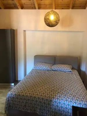 a bedroom with a bed and a light fixture at To Spiti tou Faliari in Platanistasa