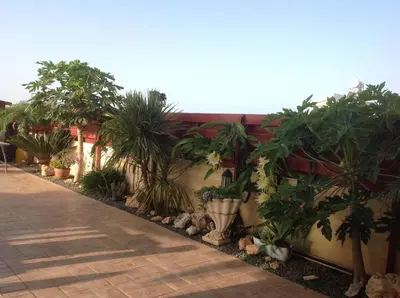 a garden with potted plants on a wall at Carolyn Villa is a Luxury 4-Bedroom Villa with Private Pool in Ayia Napa in Ayia Napa
