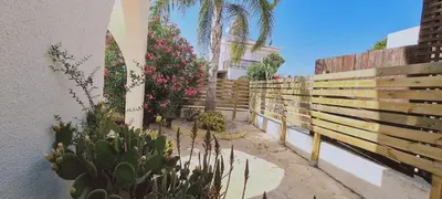 a garden with cacti and plants in front of a fence at STAY Swallow's Nest Villa in Ayia Napa