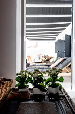 two plants on a table in a room with a window at Casa BOHO in Alaminos