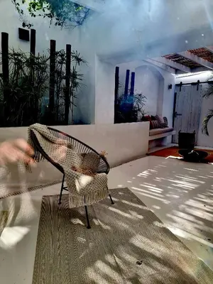 a bird sitting on a chair in a room at Casa BOHO in Alaminos