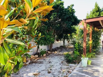 a garden with trees and a walk way at Artist Cottage in Dromolaxia in Larnaka