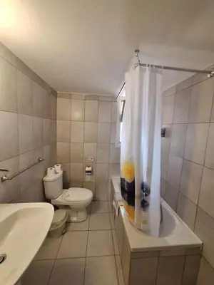 a bathroom with a sink and a toilet and a shower curtain at TERPSICHORE Holiday Apts in Limassol