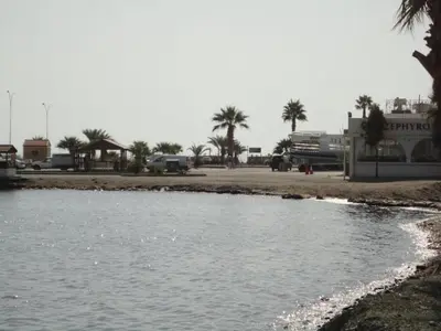 a body of water next to a beach with palm trees at Apartments Mackenzie 1+1 in Larnaka