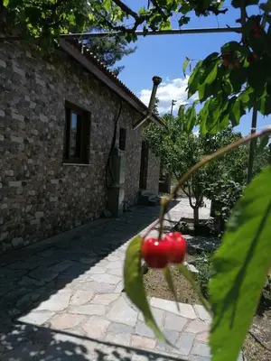 a red fruit on a tree in front of a building at House de Fountas in Khandria