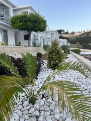 a garden with rocks and palm trees in front of a house at Pissouri Image in Pissouri