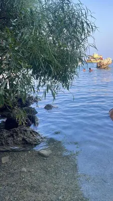 a tree hanging over a body of water at One-bedroom beach apartment, 30m from an amazing beach, Coralli in Protaras
