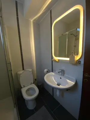 a bathroom with a toilet and a sink and a mirror at Aphrodite Sea View Apartment in Larnaka