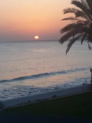 a sunset over the ocean with a palm tree at SEAFRONT BEACH PARTY VILLA in Pervolia
