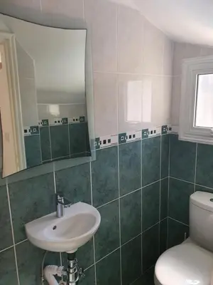 a bathroom with a sink and a mirror and a toilet at Protaras sea view Villa with private pool in Protaras