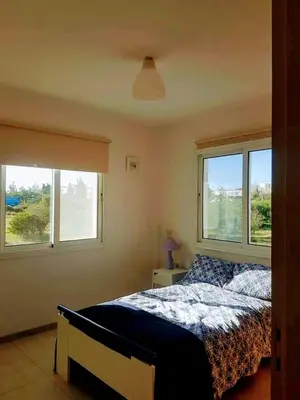 a bedroom with a bed and two windows at Armstrong Apartment in Paralimni