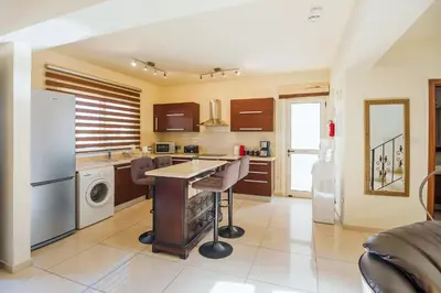 a kitchen with a washer and dryer at Villa Athena in Protaras