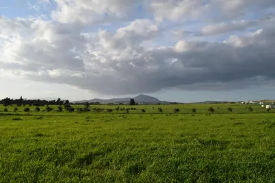 a field of green grass with a cloudy sky at MERSINERA Paradise Garden NOAH HOUSE in Kivisil