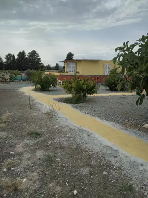 a yellow house with a yellow road in a yard at MERSINERA Paradise Garden NOAH HOUSE in Kivisil