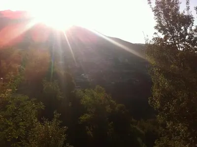 an image of the sun shining through the trees at Maison Elena in Kalopanayiotis