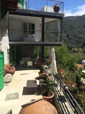 an outdoor patio with an umbrella and potted plants at Maison Elena in Kalopanayiotis