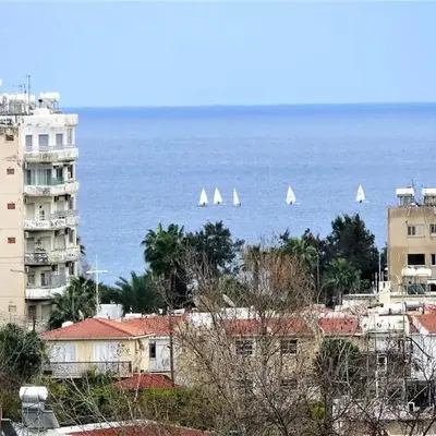 Antonakis 501