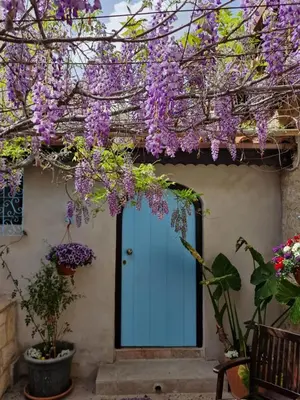 a house with purple flowers hanging over the door at Kalimera A Lovely 1-bedroom rental with ensuite and Kitchen in Limassol