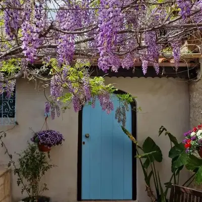 Kalimera A Lovely 1-bedroom rental with ensuite and Kitchen