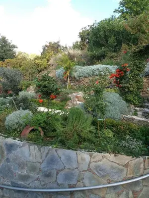 a garden with flowers and plants on a hill at Rodous Village House in Limassol