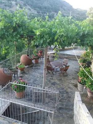a patio with a bunch of potted plants and a table at Rodous Village House in Limassol
