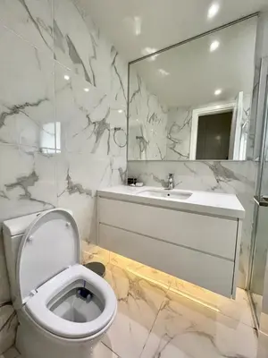 a bathroom with a toilet and a sink and a mirror at Central Business Suites Nicosia - Araouzou By Platform 357 in Nicosia