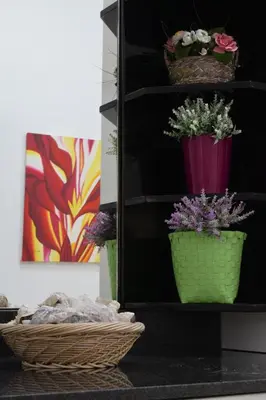 a shelf with potted plants on it next to a basket at MAMA'S FLAT - ΤΟ ΔΙΑΜΕΡΙΣΜΑ ΤΗΣ ΜΑΜΑΣ in Strovolos