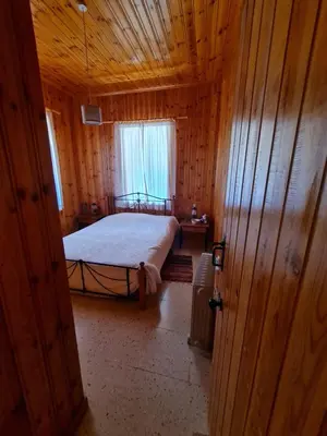 a bedroom with a bed in a wooden room at Elpiniki's Old House in Kalopanayiotis