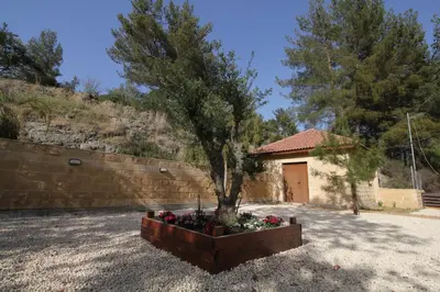 a tree in a planter in front of a house at House of Roses in Limassol