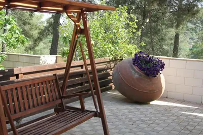 a wooden bench and a large planter with a plant at House of Roses in Limassol