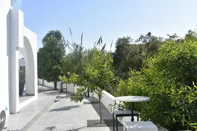 a patio with a table and chairs and trees at Zoi Ayia Napa in Ayia Napa