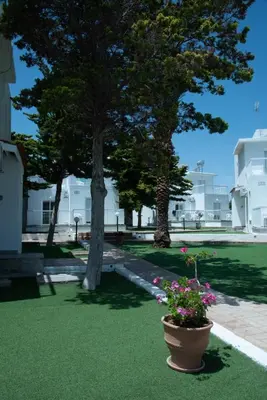 a pot of flowers in a yard with trees and buildings at Flisvos Beach Apartments in Protaras