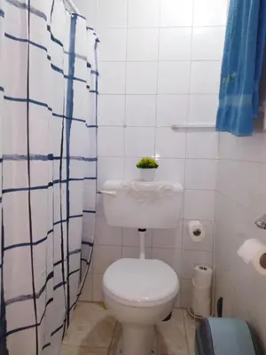 a bathroom with a toilet and a plant on a shelf at Traditional house in pelendri in Limassol