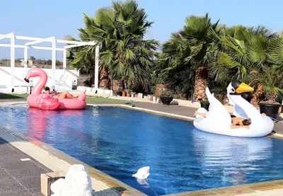 a group of people riding on inflatable swans in a pool at The Pervoli Studio - Pool - Close to Beach in Larnaka