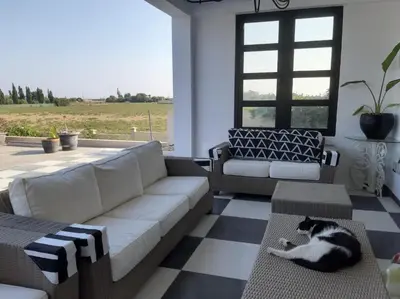 a living room with a couch and a cat laying on the floor at The Pervoli Studio - Pool - Close to Beach in Larnaka