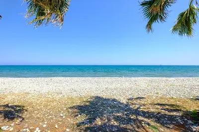 a shadow of a palm tree on a beach at Pebble Beach Apartment in Voroklini