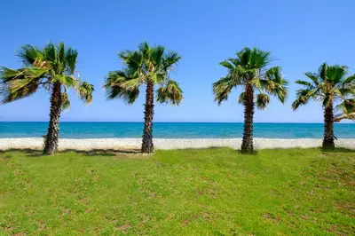 a group of palm trees on the beach at Oceanview Apartment in Larnaka