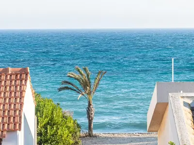 a palm tree on the beach near the ocean at Greek Island Style 2 bedroom Villa with Pool next to the Sea in Larnaka