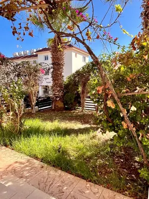 a house with a palm tree in a yard at 2 bedroom with private garden, walk to Nissi Beach, communal swimming pool in Ayia Napa